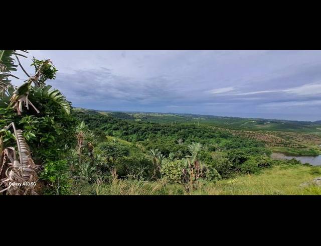 FARM FOR SALE IN LEISURE BAY